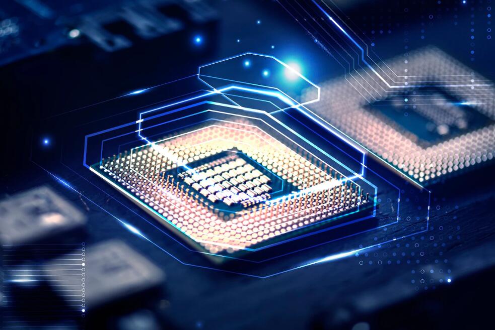 世界游泳50米最快纪录 游泳世界纪录